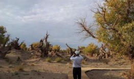 新疆伊吾最新爆料信息,神秘事件揭开面纱，探寻古城之谜